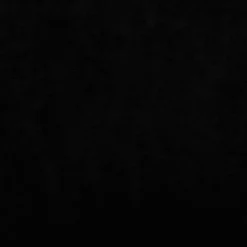 MAISON EXCLUSIVE - Lit pour chien noir 66x40x45 cm velours