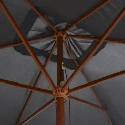 MAISON EXCLUSIVE - Parasol d'extérieur avec mât en bois 200x300 cm anthracite
