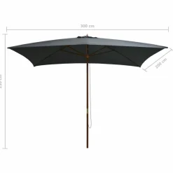 MAISON EXCLUSIVE - Parasol d'extérieur avec mât en bois 200x300 cm anthracite
