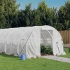 MAISON EXCLUSIVE - Serre avec cadre en acier blanc 18 m² 6x3x2 m