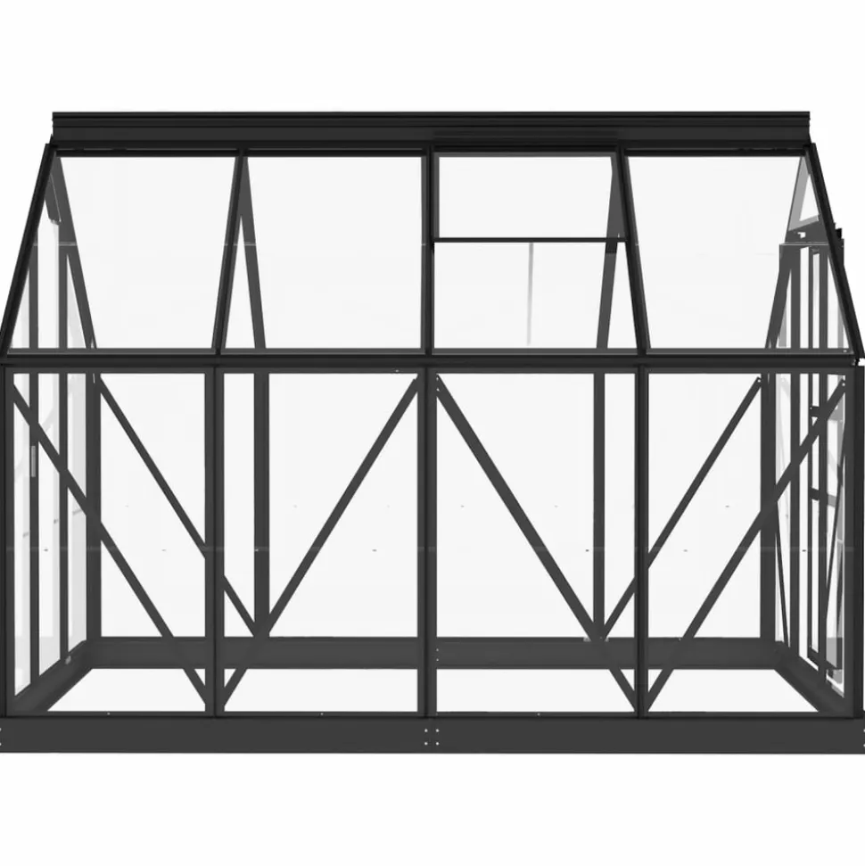 MAISON EXCLUSIVE - Serre en verre anthracite 155x200,5x191 cm aluminium