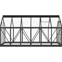 MAISON EXCLUSIVE - Serre en verre anthracite 155x298x191 cm aluminium