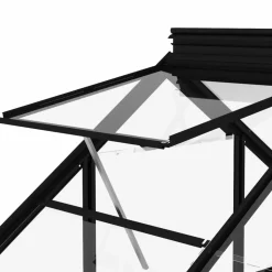 MAISON EXCLUSIVE - Serre en verre anthracite 155x395,5x191 cm aluminium