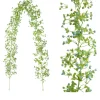 MCBOSON - Vignes artificielles bleu