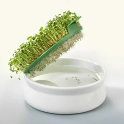 MES COURSES EN VRAC - Coupelle de germination pour graines à mucilage
