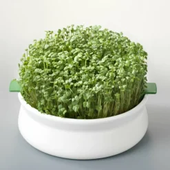 MES COURSES EN VRAC - Coupelle de germination pour graines à mucilage