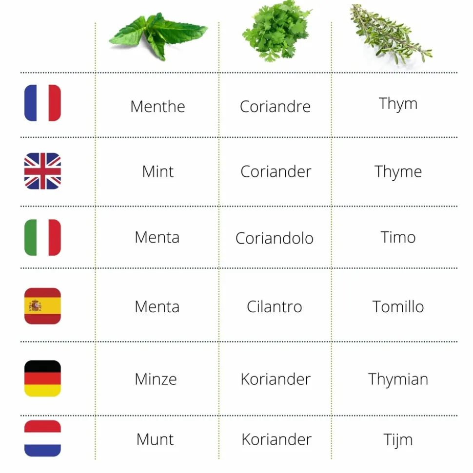 MES COURSES EN VRAC - Cultivea® kit prêt à pousser d’herbes aromatiques - menthe, coriandre, thym