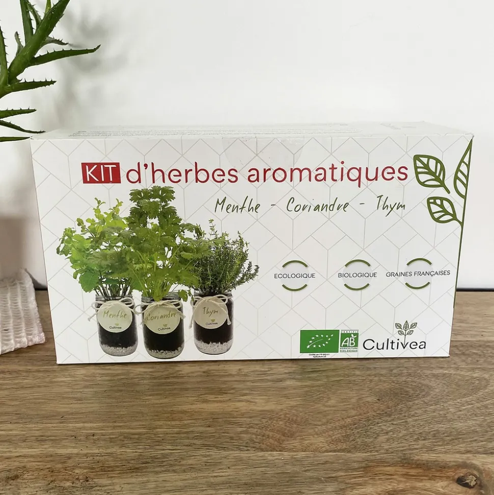 MES COURSES EN VRAC - Cultivea® kit prêt à pousser d’herbes aromatiques - menthe, coriandre, thym