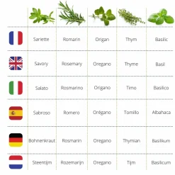 MES COURSES EN VRAC - Cultivea saveurs du monde - kit prêt à pousser herbes de provence - sarriette, romarin, thym, basilic, origan