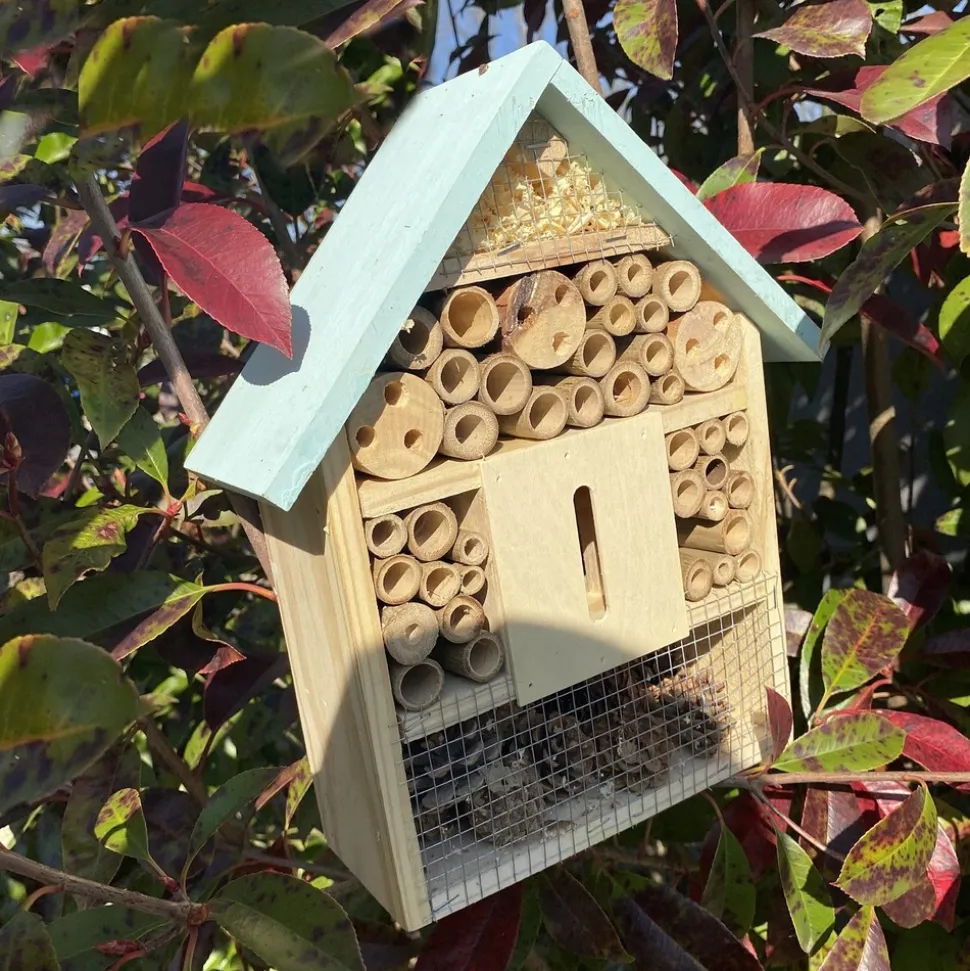 MES COURSES EN VRAC - Grand hôtel à insectes