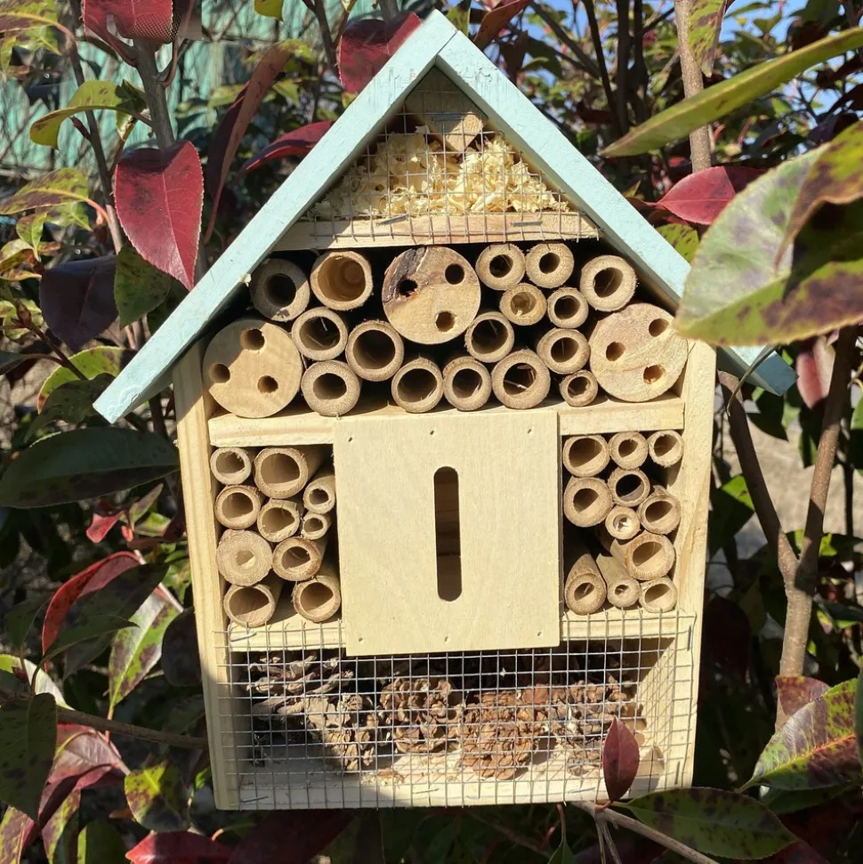 MES COURSES EN VRAC - Grand hôtel à insectes