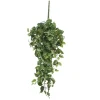 MICA - Chute de scindapsus, vert L. 80 x l. 30 x H. 15 cm