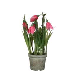 MICA - Plante artificielle, Fritillaire coloris rose - H23.D8,5cm