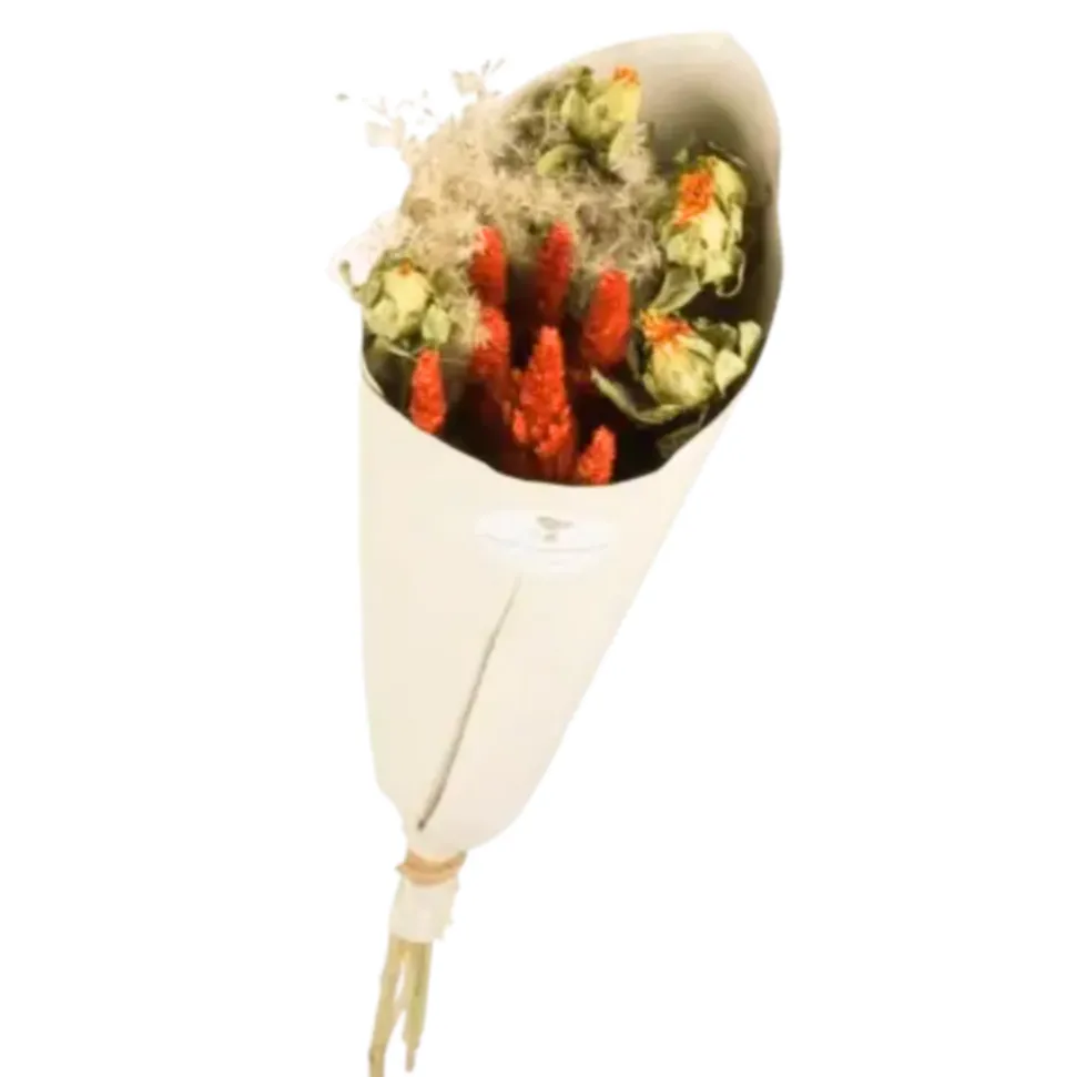 NATURALYS - Bouquet de fleurs séchées dinky orange 50 cm