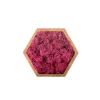 NATURALYS - Stab lichen hexagonal rose 16 x 16 cm