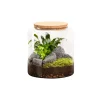 NATURALYS - Terrarium végétal d'intérieur, Mia Classic taille S : Mix H.20cm