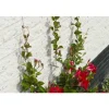 NATURE - Kit de palissage: Câble galvanisé (10m) et fixation