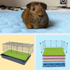 NEO SOLVO - Lot de 4 - tapis qui remplace la litière pour cochon d'inde et lapin - absorbant, imperméable, passe en machine 70 x 35 cm