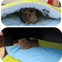 NEO SOLVO - Tapis pour cochon d'inde et lapin en polaire - 105 x 70 cm - polaire absorbant, lavable en machine, economique et ecologique