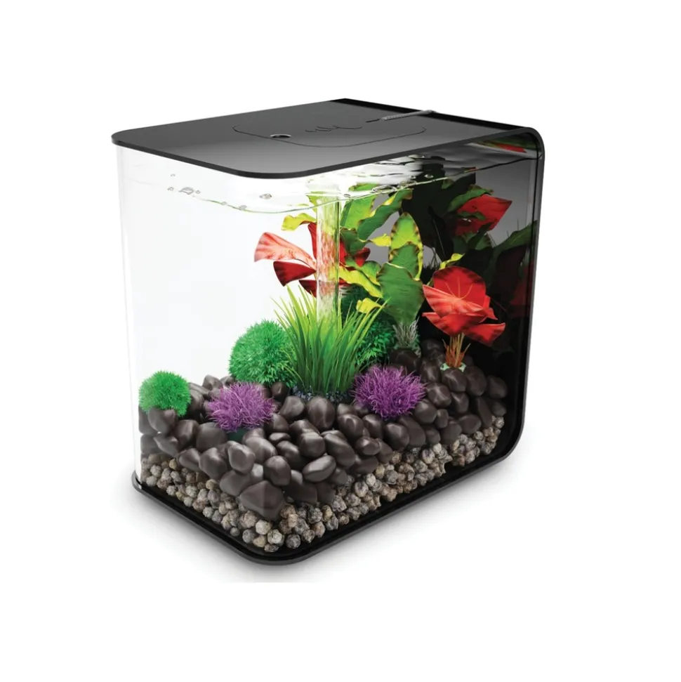 Oase aquarium décoratif 30l led avec cadre noir - flow 30 led black