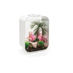 Oase aquarium 15l led contours blanc - life 15 led white