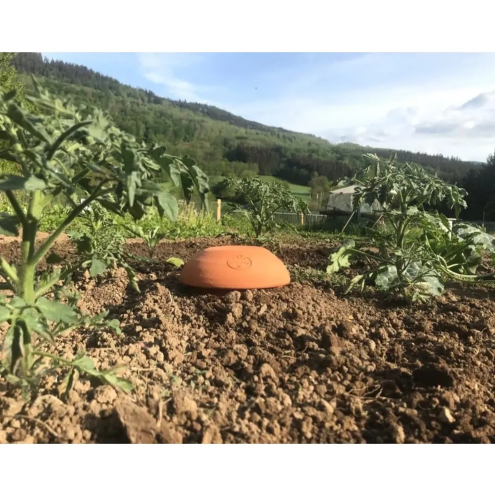 OLLAS ORIGIN - Céramique d'irrigation Ollas Jamet Origin n°6 - 12L