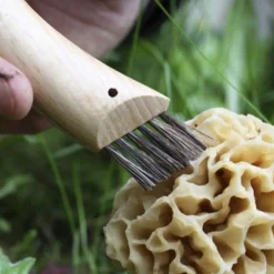 OPINEL - 2 couteau à champignon opinel 8 cm