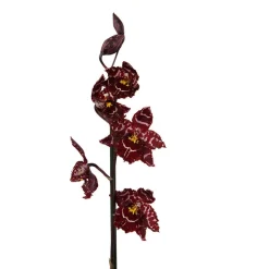 Orchidée Cambria 2 tiges - pot D.12 cm