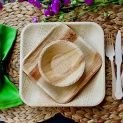PACOVIS - Assiettes jetables en palmier - lot de 25 - 18 x 18 cm