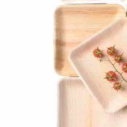 PACOVIS - Assiettes jetables en palmier - lot de 25 - 17 x 17 cm
