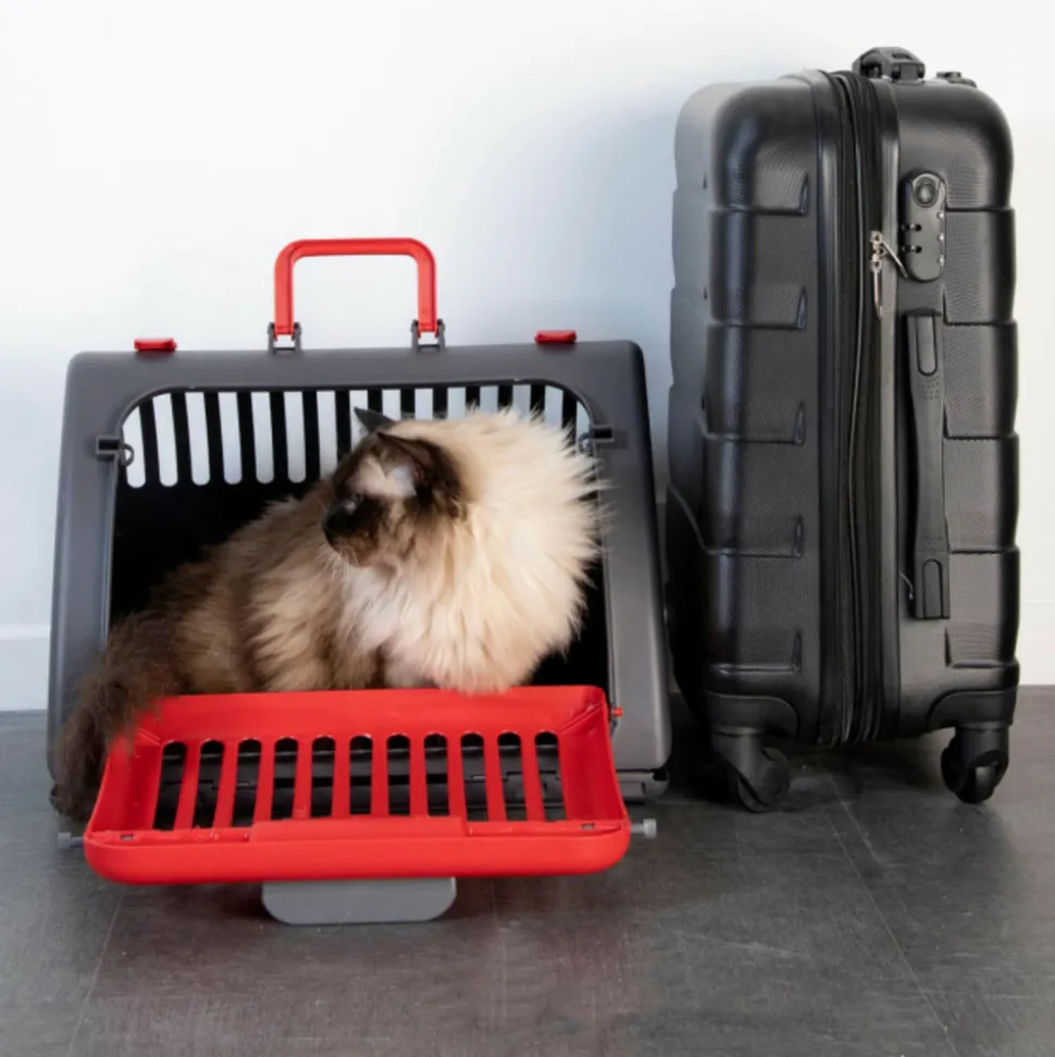 PARIS PRIX - Caisse de transport pour chat "pliable" 46cm rouge