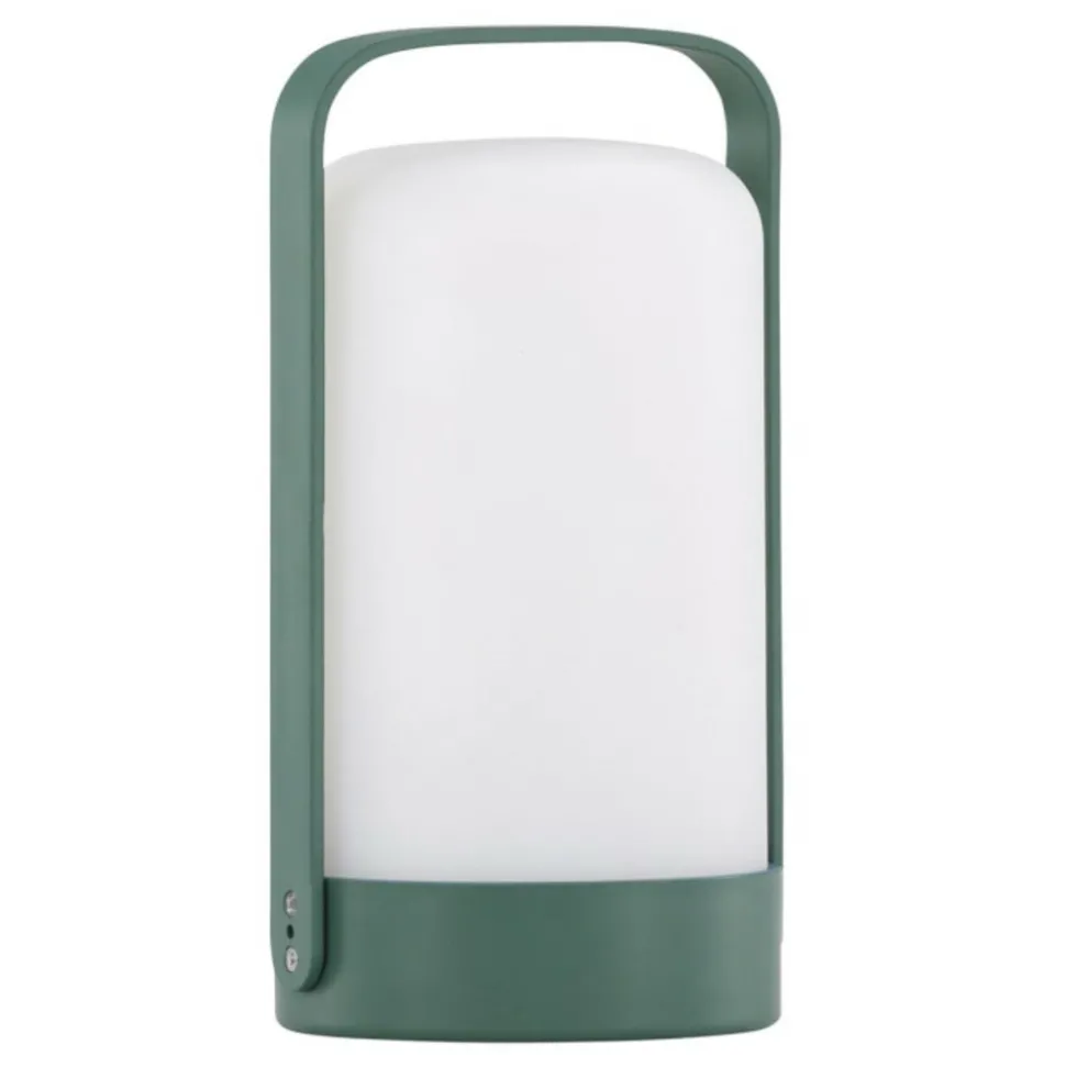 PARIS PRIX - Lampe à poser d'extérieur led "fern" 22cm vert