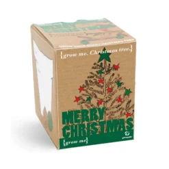 Petit kit - sapin de noël à faire pousser