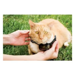 PETSAFE - Petsafe collier supplementaire special chat