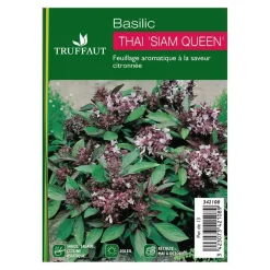 Plant de basilic 'Thaï Siam Queen' : pot de 1 litre