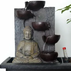 PLANT IN A BOX - Bonsaï - set de 2 - bonsai - hauteur 25-35cm - ⌀29cm