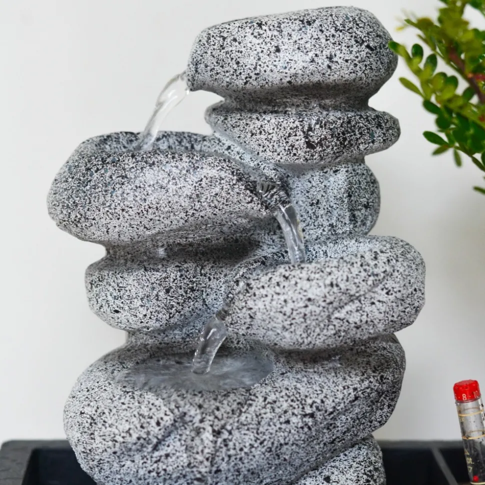 PLANT IN A BOX - Bonsaï - set de 2 - bonsai - hauteur 25-35cm - ⌀29cm