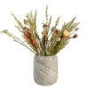 PLANT IN A BOX - Fleurs séchées - bouquet 'loose fit marrakesh'