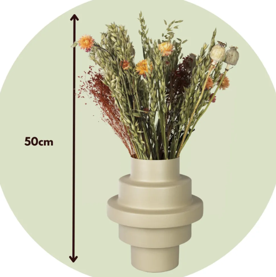 PLANT IN A BOX - Fleurs séchées - bouquet 'loose fit marrakesh'