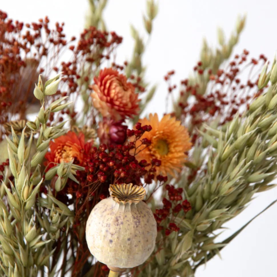PLANT IN A BOX - Fleurs séchées - bouquet 'loose fit marrakesh'