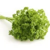 PLANTES AVENUE - Persil frisé afrodite - prêt à consommer/[-]pot de 1,5l - 10/20 cm