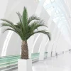 PLANTESTABILISÉE.COM - Palmier naturel stabilisé phoenix agave - palmier stabilisé - palmier d'intérieur - 230 cm