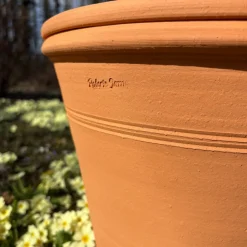Pot d'ornementation agrume