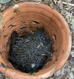 POTERIE JAMET - Lombricomposteur à enterrer - 0,8 l