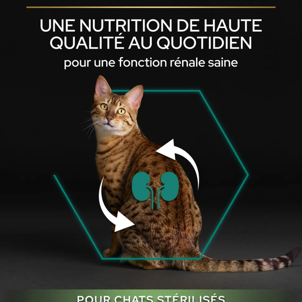 PROPLAN - Croquettes chat adulte stérilisé au saumon Super Premium - 3 kg
