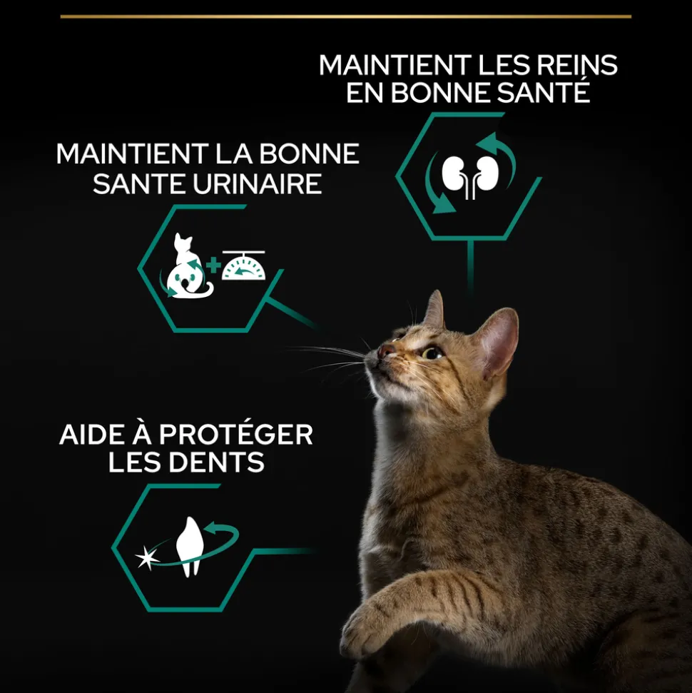 PROPLAN - Croquettes chat adulte stérilisé au saumon Super Premium - 3 kg