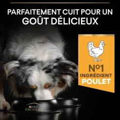 PROPLAN - Croquettes chien adulte stérilisé Super Premium - 14 kg