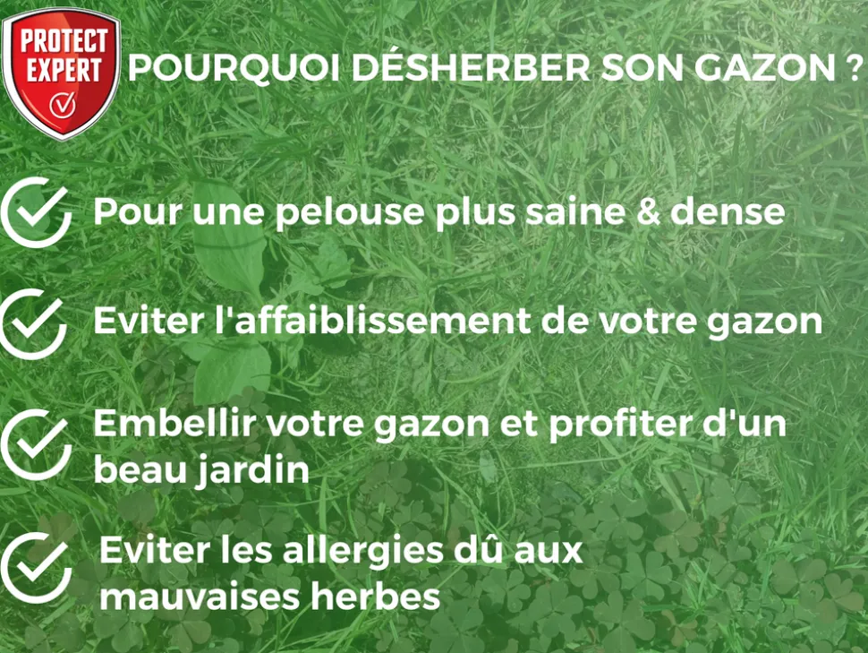 PROTECT EXPERT - Protect expert 2 désherbants concentrés localisés contre les mauvaises herbes du gazon - 2x200ml - soit 176m² - non sélectif