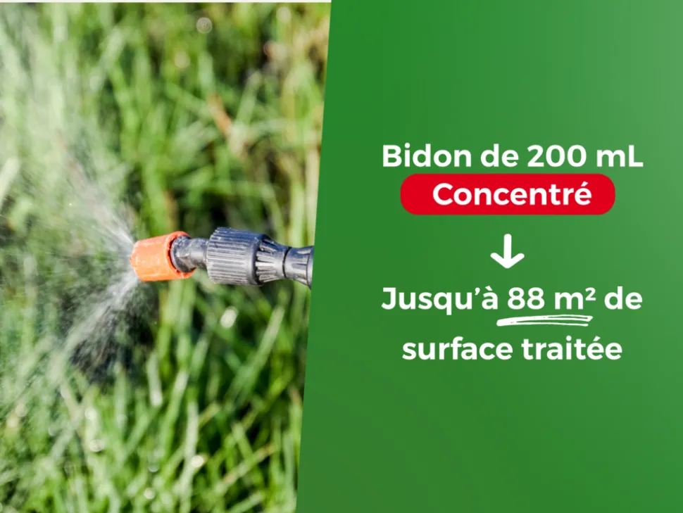 PROTECT EXPERT - Protect expert 2 désherbants concentrés localisés contre les mauvaises herbes du gazon - 2x200ml - soit 176m² - non sélectif