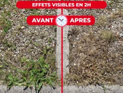 PROTECT EXPERT - Protect expert désherbant polyvalent concentré - effets visibles en 3h - 2,5l - jusqu鈥² traités - bidon doseur proherbio25n